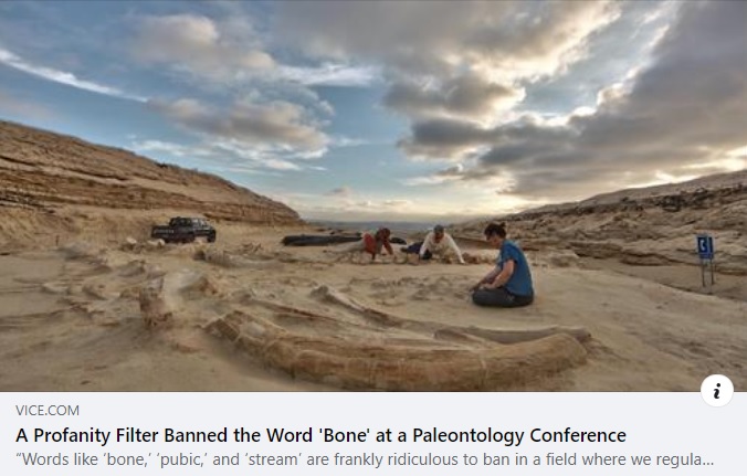 Vice Dot Com Article A Profanity Filter Banned the Word Bone at a Paleontology Conference